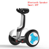 Daibot Powerful Electric Scooter