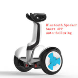 Daibot Powerful Electric Scooter