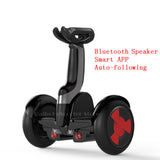 Daibot Powerful Electric Scooter